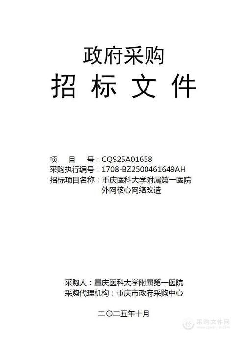 本项目实施所需的硬件设备均由投标人提供,投标人应提供国产产品
